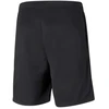 Puma teamRISE šortai M 657336 03
