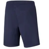 Puma teamRISE šortai M 657336 06