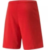 Puma teamRISE šortai M 704942 01