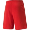Puma teamRISE šortai M 704942 01