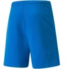 Puma teamRISE Šortai M 704942 02