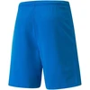 Puma teamRISE Šortai M 704942 02