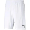 Puma teamRISE Šortai M 704942 03