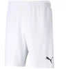 Puma teamRISE Šortai M 704942 03
