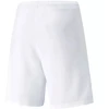 Puma teamRISE Šortai M 704942 03