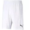 Puma teamRISE Šortai M 704942 03