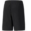 Puma teamRISE Šortai M 704942 04