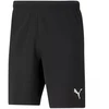 Puma teamRISE Šortai M 704942 04