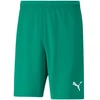 Puma teamRISE Šortai M 704942 05