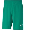 Puma teamRISE Šortai M 704942 05