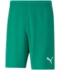 Puma teamRISE Šortai M 704942 05