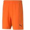 Puma teamRise Šortai Prist M 704942 08