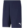 Puma teamRISE Šortai Tamsiai mėlyna M 704942 06