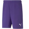 Puma teamRise Vyriški Šortai 704942 10