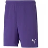 Puma teamRise Vyriški Šortai 704942 10