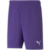 Puma teamRise Vyriški Šortai 704942 10