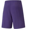 Puma teamRise Vyriški Šortai 704942 10