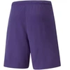 Puma teamRise Vyriški Šortai 704942 10