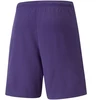 Puma teamRise Vyriški Šortai 704942 10