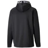 Puma Train Pwr Fleece M 520893 01 džemperis