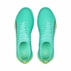 Puma Ultra Ultimate Cage TT M 107210-03 futbolo bateliai