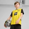 Puma Vaikiski Borussia Dortmund Namu komandos marskineliai 774951 01