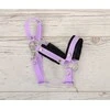 Reguliuojamas kantaras hobi arkliukui – violetinis su juoda pūkine apdaila