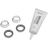 Remonto komplektas stebulei DT Swiss Ratchet SL