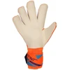 Reusch Attrakt Gold X Evolution World Cup vartininko pirštinės 56 70 064 2290