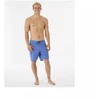 RIP CURL Mirage Strands Ultimate maudymosi šortai, mėlyni