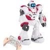 Robotas interaktyvus valdomas pulteliu rožinis R/C Models