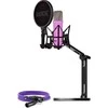 Rode Microphones NT1 Signature +XLR-cable+Desktop Studio Arm , microphone - violetinė, Bundle