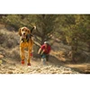 Ruffwear Grip Trex