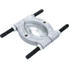 RUTULINIO GUOLIO SEPARATORIUS | 29–168 MM (8767)