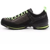 Salewa MS MTN Trainer 2 LM trekingo batai 61357-0471