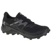 Salomon Wildcross 2 GTX M 414554 Bėgimo Bateliai