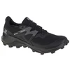 Salomon Wildcross 2 GTX M 414554 Bėgimo Bateliai