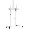 Sbox FS-3610 baltas grindinis TV stovas 60–100", iki 100 kg