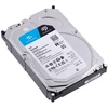 Ausinės „Seagate SkyHawk“ 6TB 3,5 col. SATA ST6000VX009 HDD standusis diskas