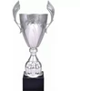 Sidabrinė metalinė taurė 4127E
