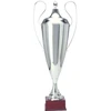 Sidabrinė metalinė taurė TD 1042-N/A