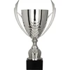 Sidabrinis metalinis puodelis
