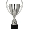 Sidabrinis metalinis puodelis