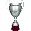 Sidabrinis metalinis puodelis TS