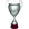 Sidabrinis metalinis puodelis TS