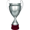 Sidabrinis metalinis puodelis TS