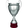Sidabrinis metalinis puodelis TS