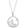 Sidabrinis pakabukas Little Prince