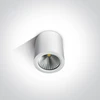 10W LED cilindro formos šviestuvas, baltas, 3000K, 67380/W/W