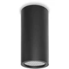 Pakabinamas šviestuvas 10W LED paviršinis fasado šviestuvas RIMA 4K, juodas, 4000K